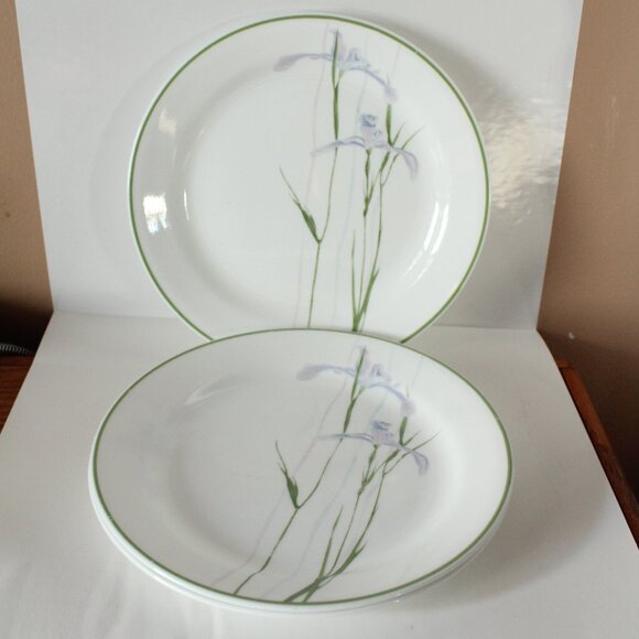 Corelle Shadow Iris Pattern Lot of 10 Pieces - Picture 4 of 9